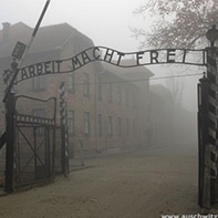 *Auschwitz - Birkenau
